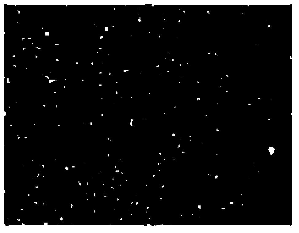 Method for forming double-layer orderly-arranged nanoparticles by utilizing polymers as templates