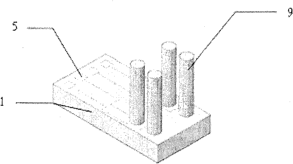 Method for manufacturing three-dimensional nerve microelectrode