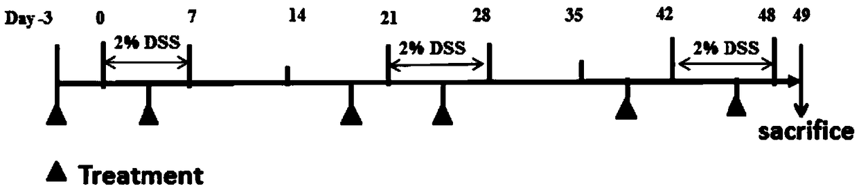 Recombinant plasmid, DNA vaccine, preparation method and application thereof