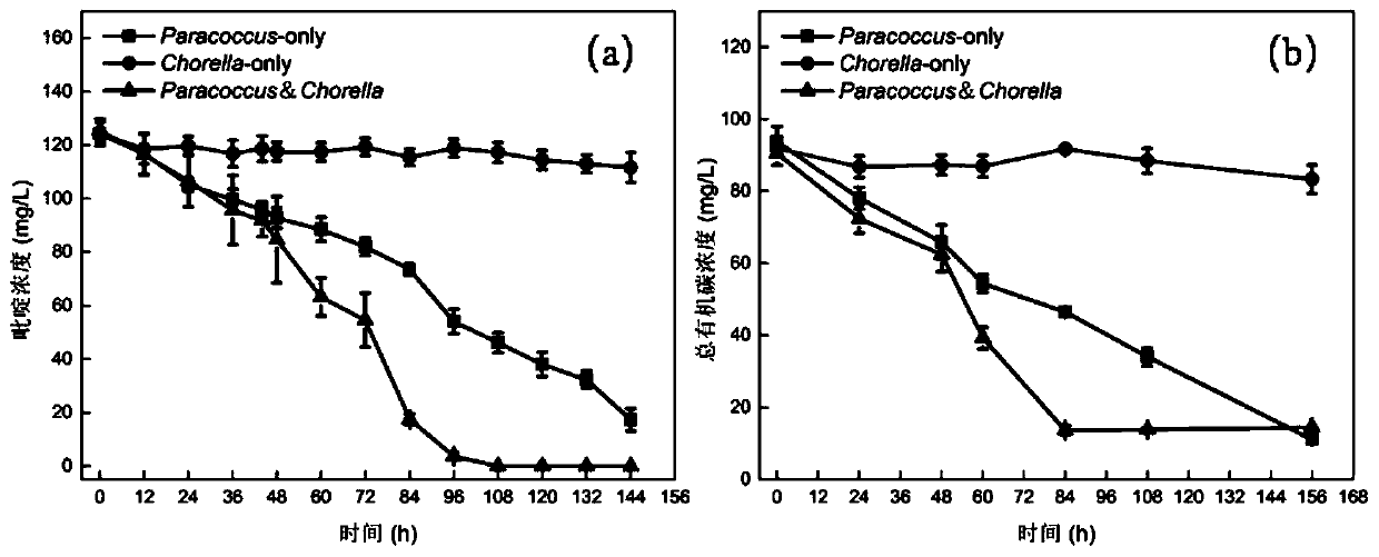 Bacterium-algae symbiotic system for enhancing pyridine biodegradation under microaerobic condition