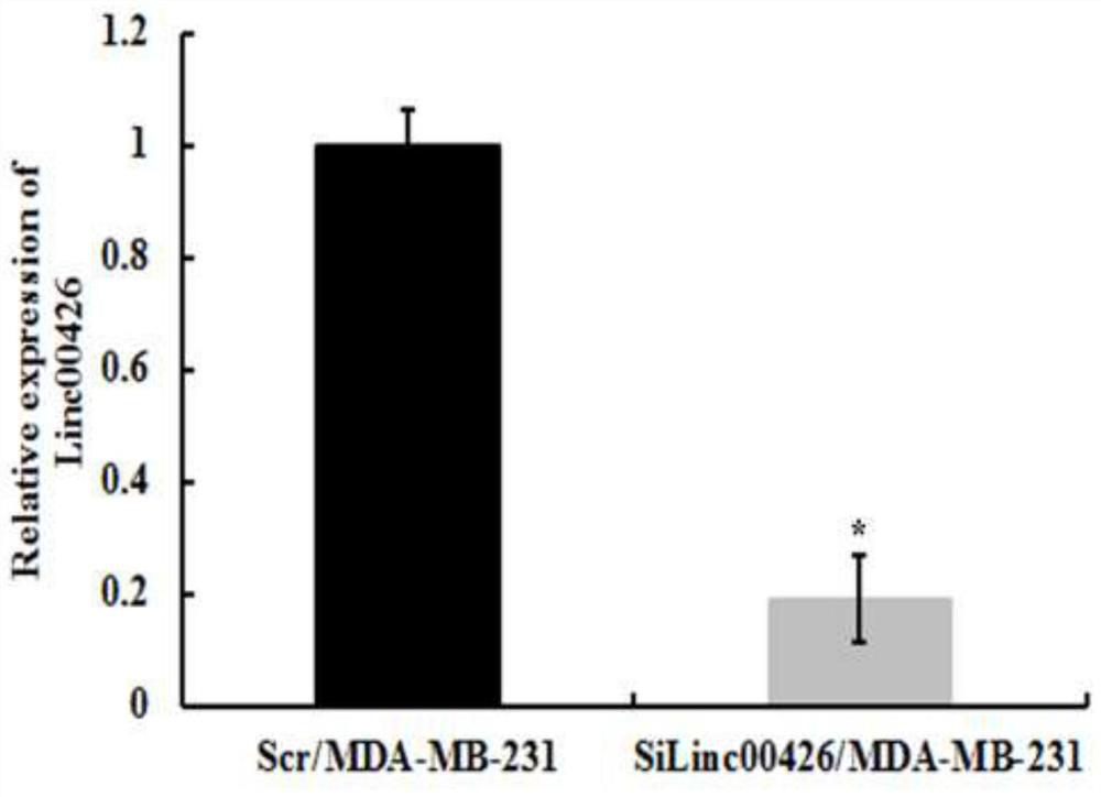 Application of a kind of lncrna in diagnosis and/or treatment of breast cancer