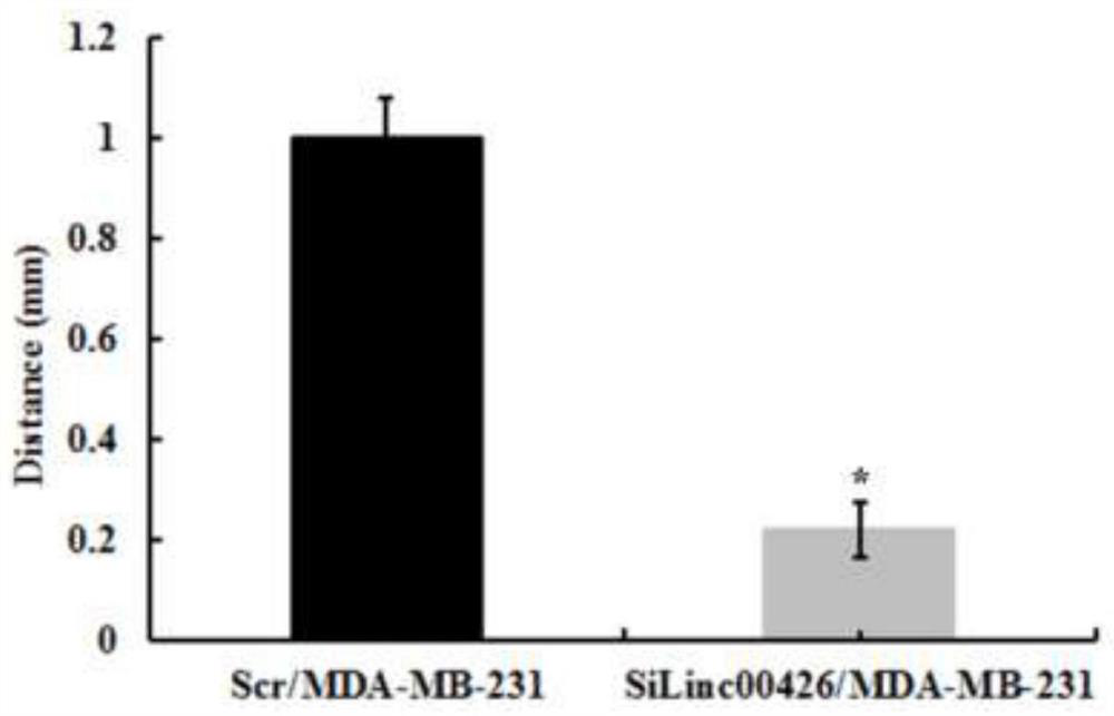 Application of a kind of lncrna in diagnosis and/or treatment of breast cancer