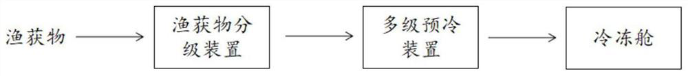 A classification precooling device for deep-sea fish and its application