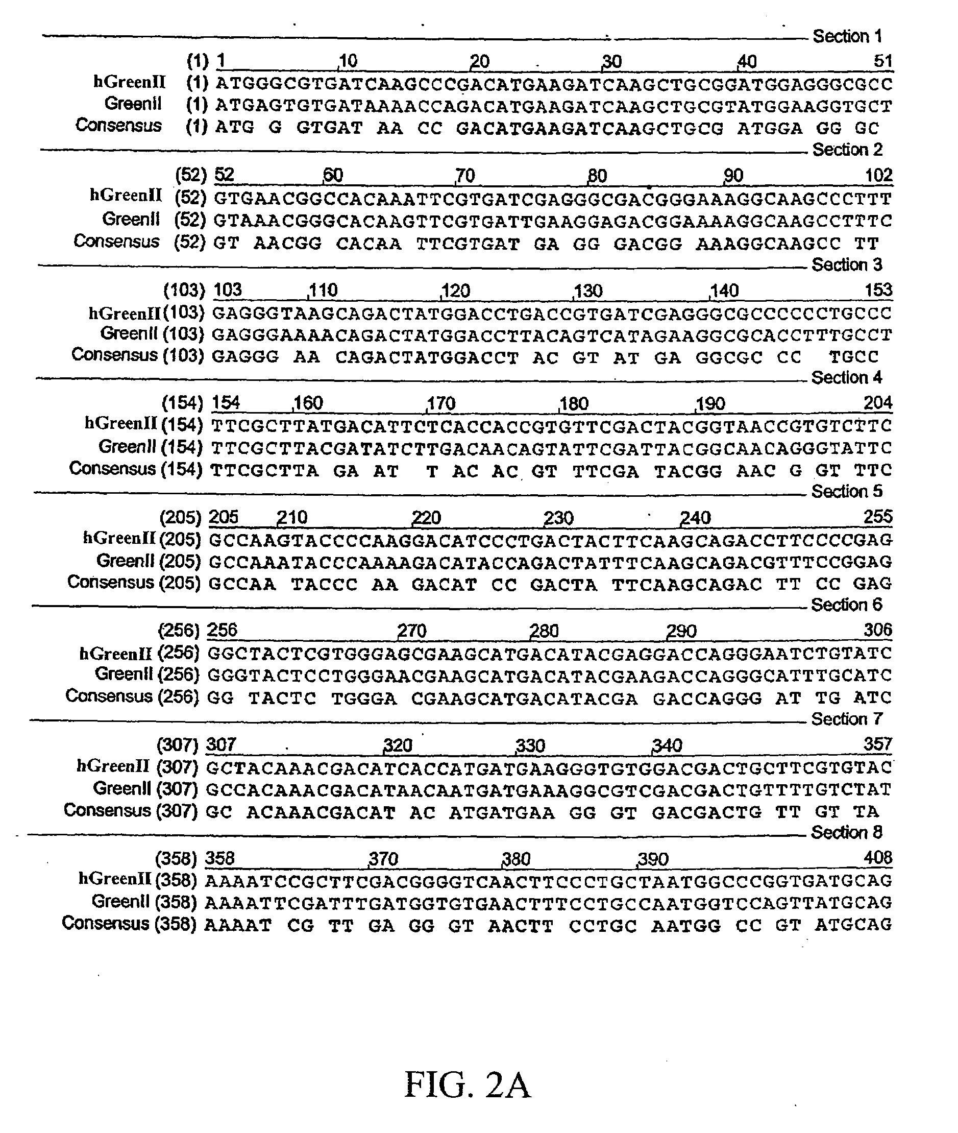 Synthetic nucleic acids from aquatic species