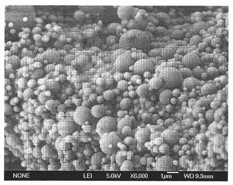 Long-acting sustained release preparation for preventing or treating retinal damage, and preparation method thereof