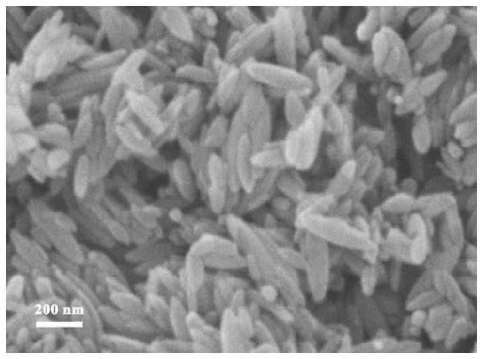 Magnetic Fe3O4/Fe2O3 heteroplasmon hollow nanorod material and preparation method and application thereof