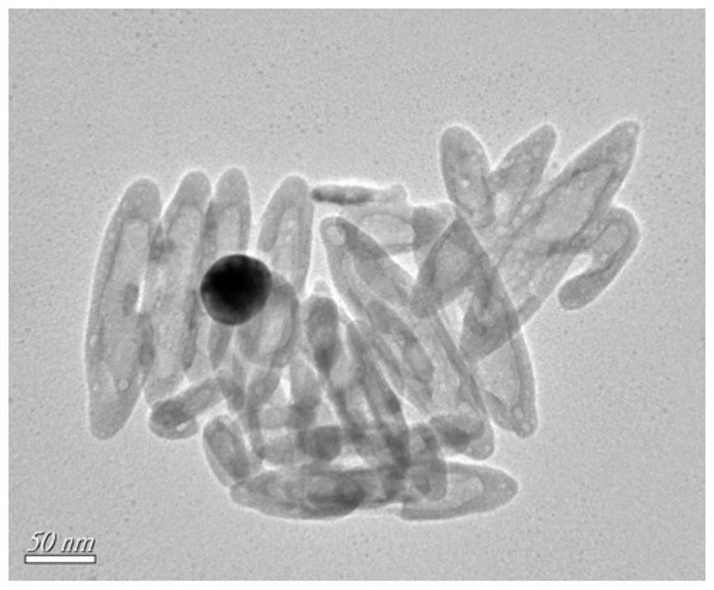 Magnetic Fe3O4/Fe2O3 heteroplasmon hollow nanorod material and preparation method and application thereof