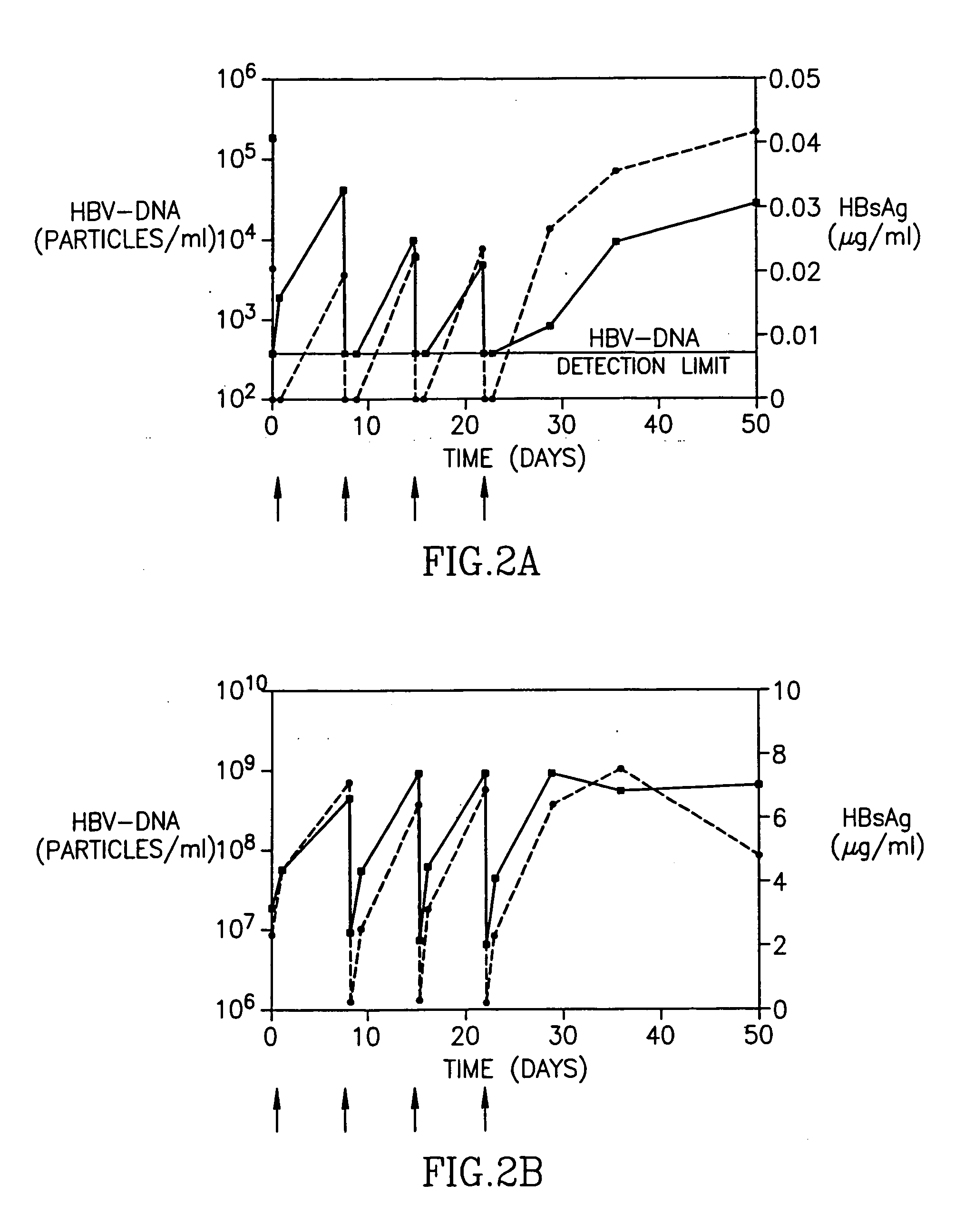 Treatment of hepatitis B virus infection with human monoclonal antibodies