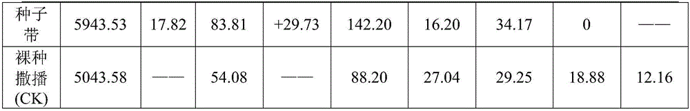 Method of raising Allium fistulosum seedlings by using seed belt