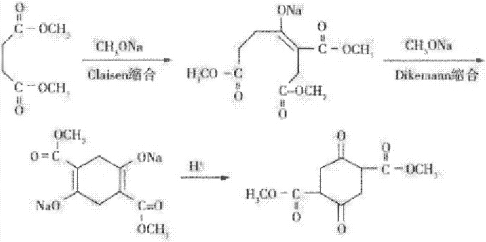 Method for continuous production of dimethyl succinylo succinate