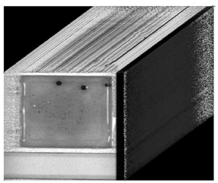 Medical foreign matter hyperspectral classification detection method