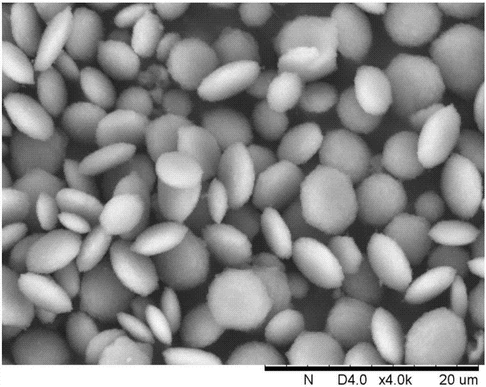 SAPO (silicoaluminophosphate) molecular sieve as well as preparation method and application thereof