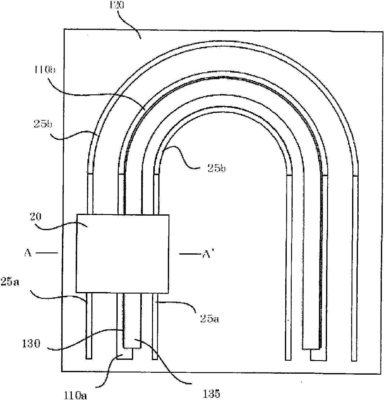 Linear and curvilinear motor system