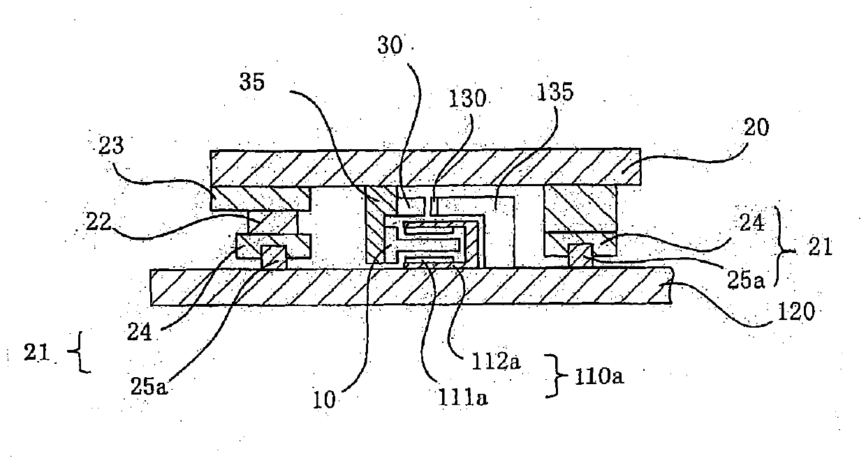 Linear and curvilinear motor system