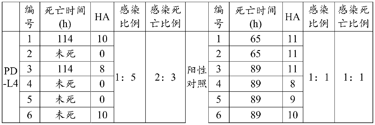 Application of antibacterial peptide PD-L4 in inhibition of avian influenza virus