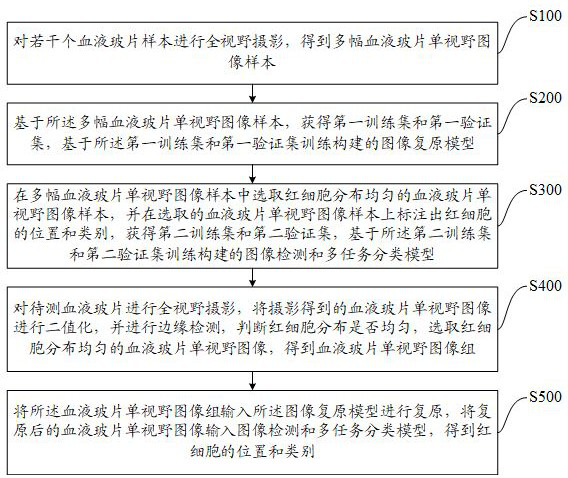 Red blood cell detection and classification method and device, computer storage medium and electronic equipment