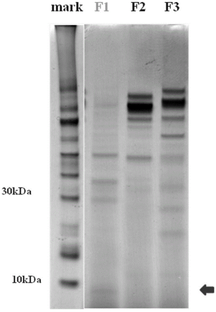 Screening method for clostridium butyricum producing efficient antibacterial peptide butyrisin