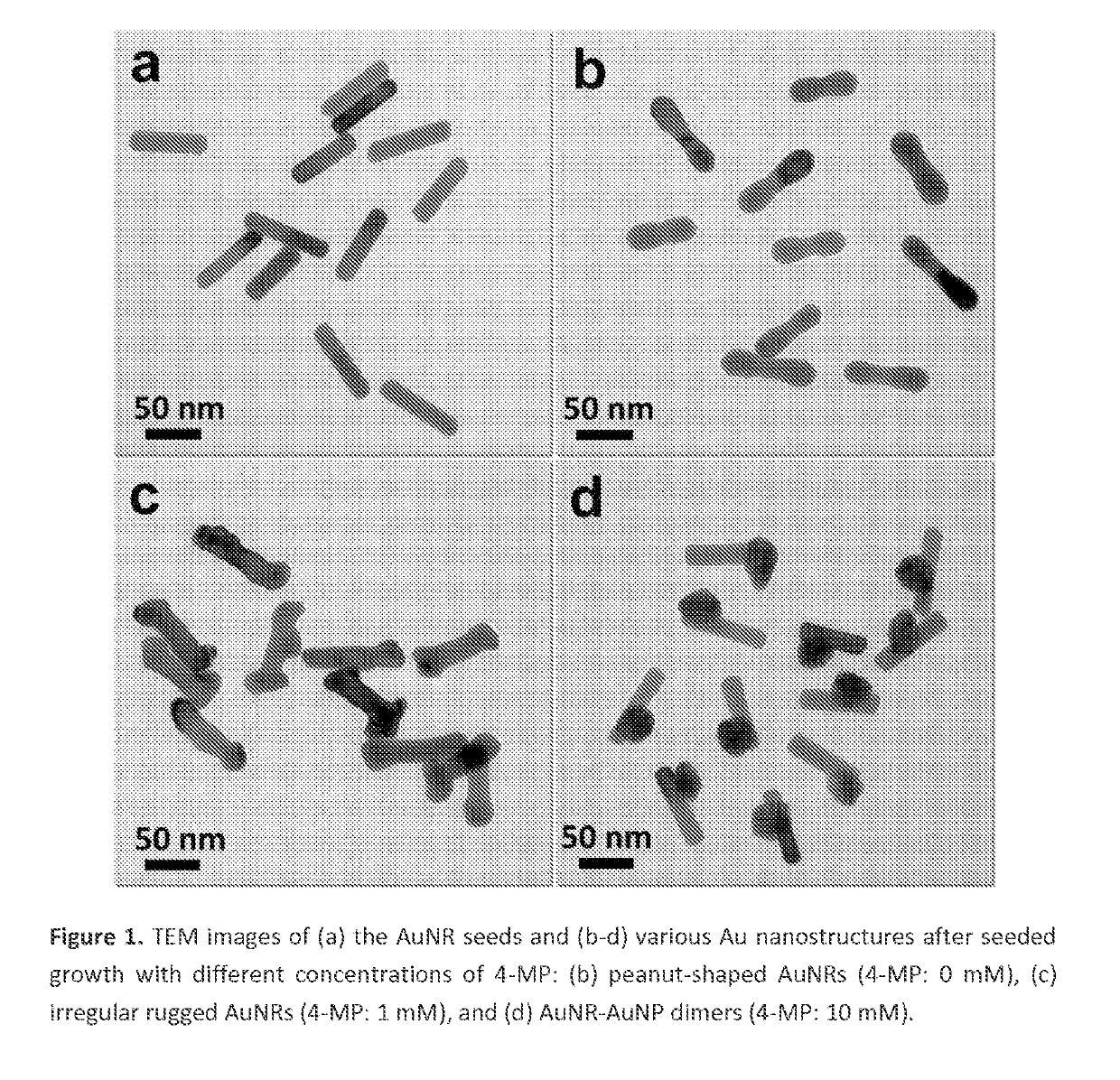 Asymmetric monometallic nanorod nanoparticle dimer and related compositions and methods