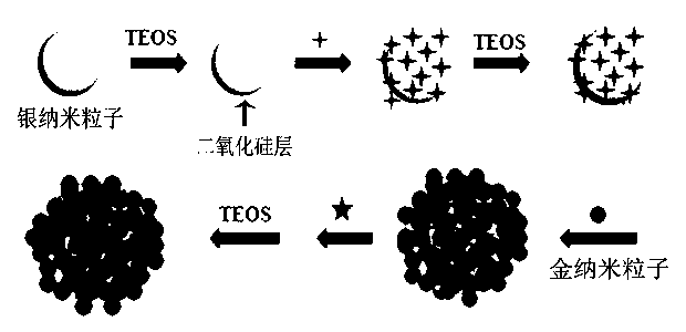 Surface-common-enhanced fluorescence surface-enhanced Raman multi-layer core-shell structure composite particles and preparation method of particles