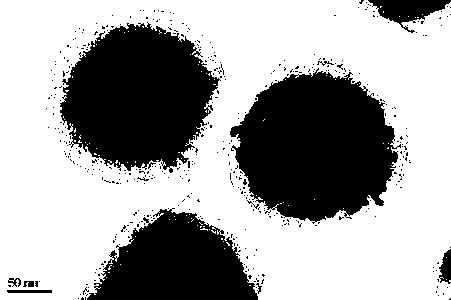 Surface-common-enhanced fluorescence surface-enhanced Raman multi-layer core-shell structure composite particles and preparation method of particles