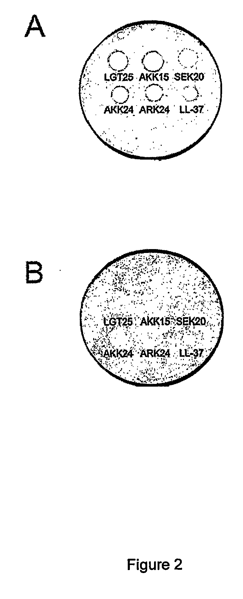 Novel antimicrobial peptides with heparin binding activity