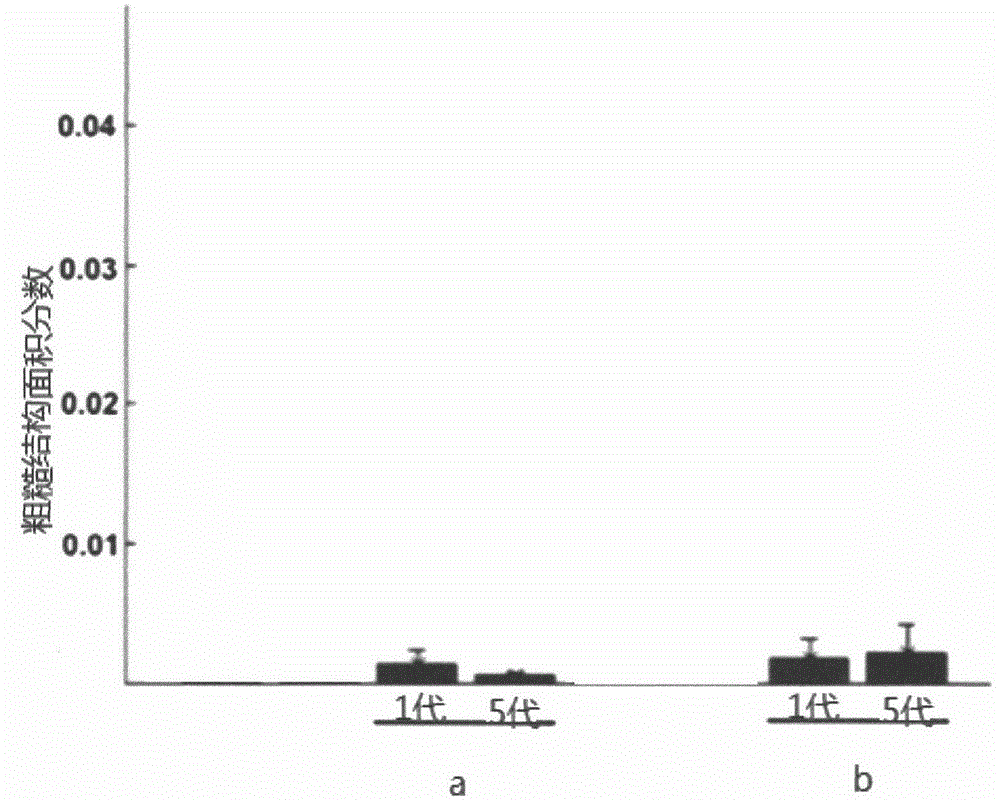 Serum-free culture medium used for cultivating human mesenchymal stem cells