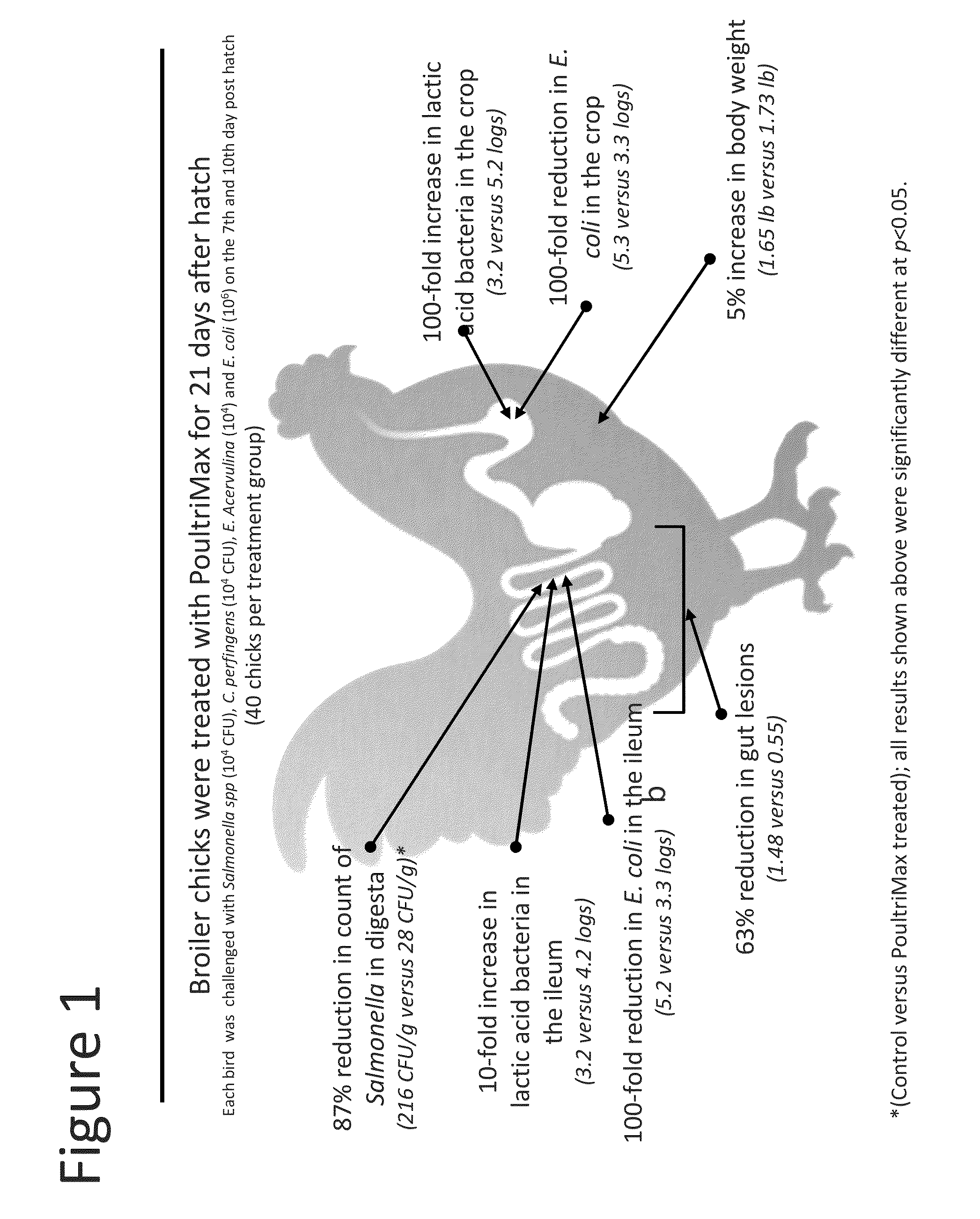 Compositions and methods for reducing infection in poultry