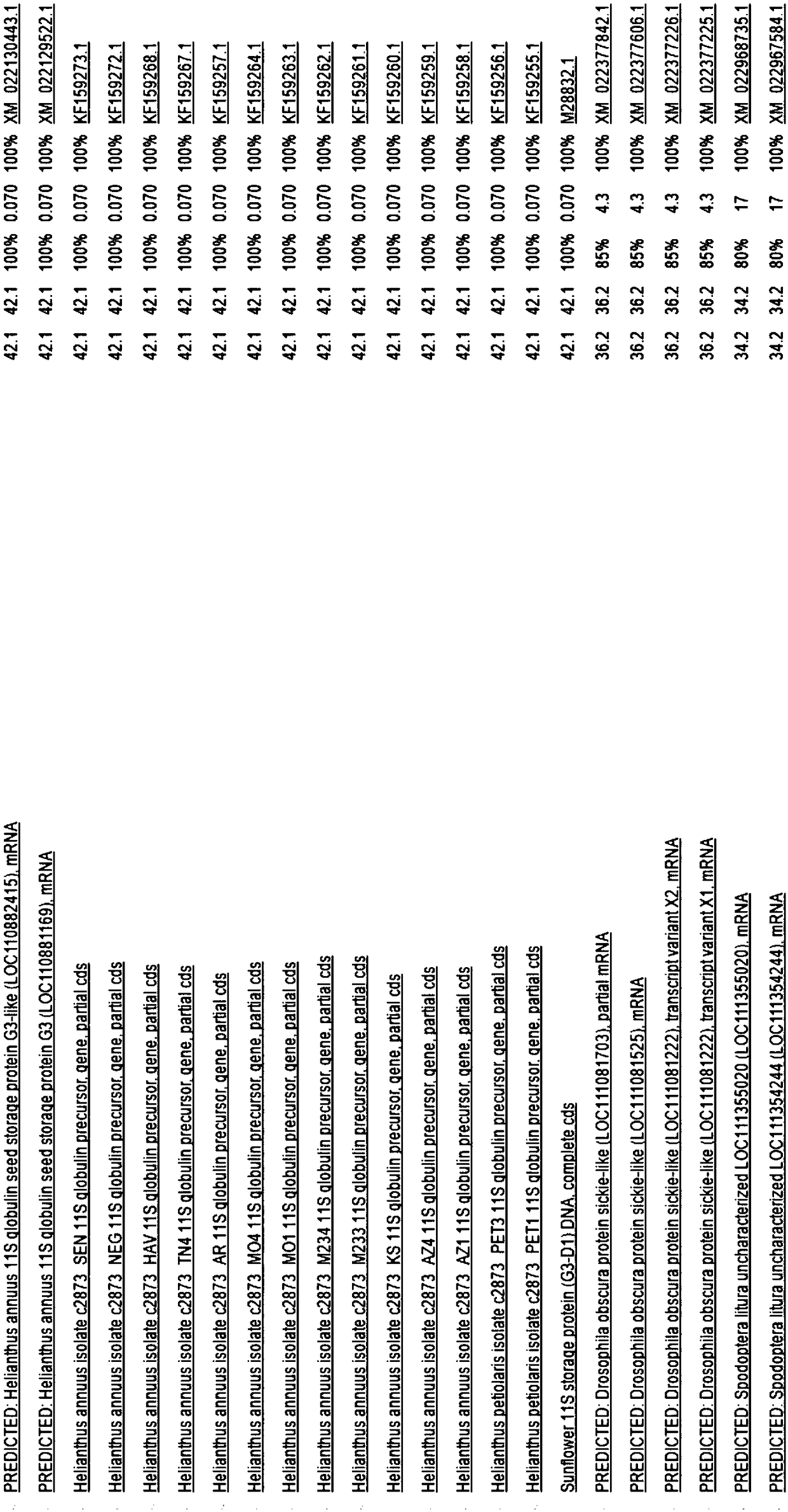 Specific primer and probe as well as real-time fluorescence quantification PCR kit used for detecting DNA of sunflower