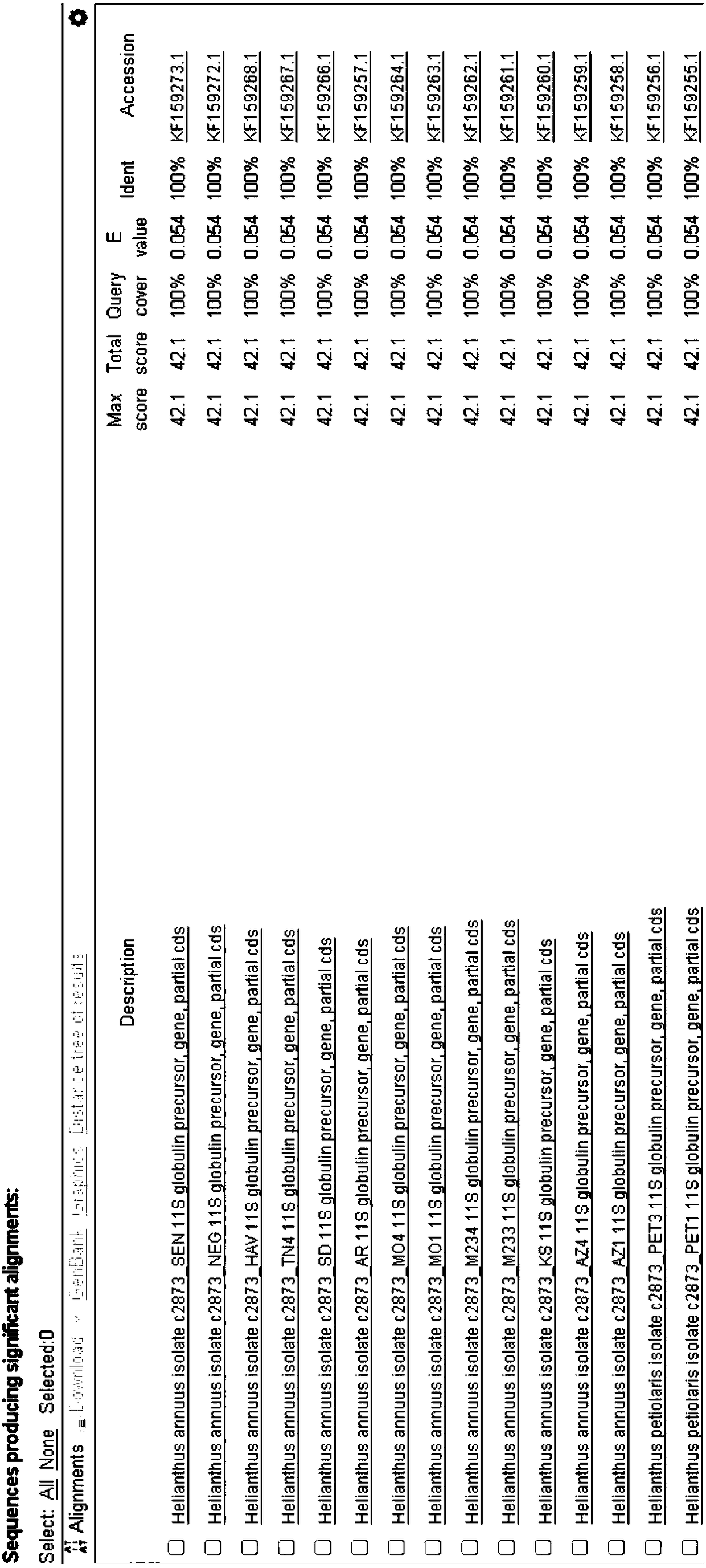 Specific primer and probe as well as real-time fluorescence quantification PCR kit used for detecting DNA of sunflower