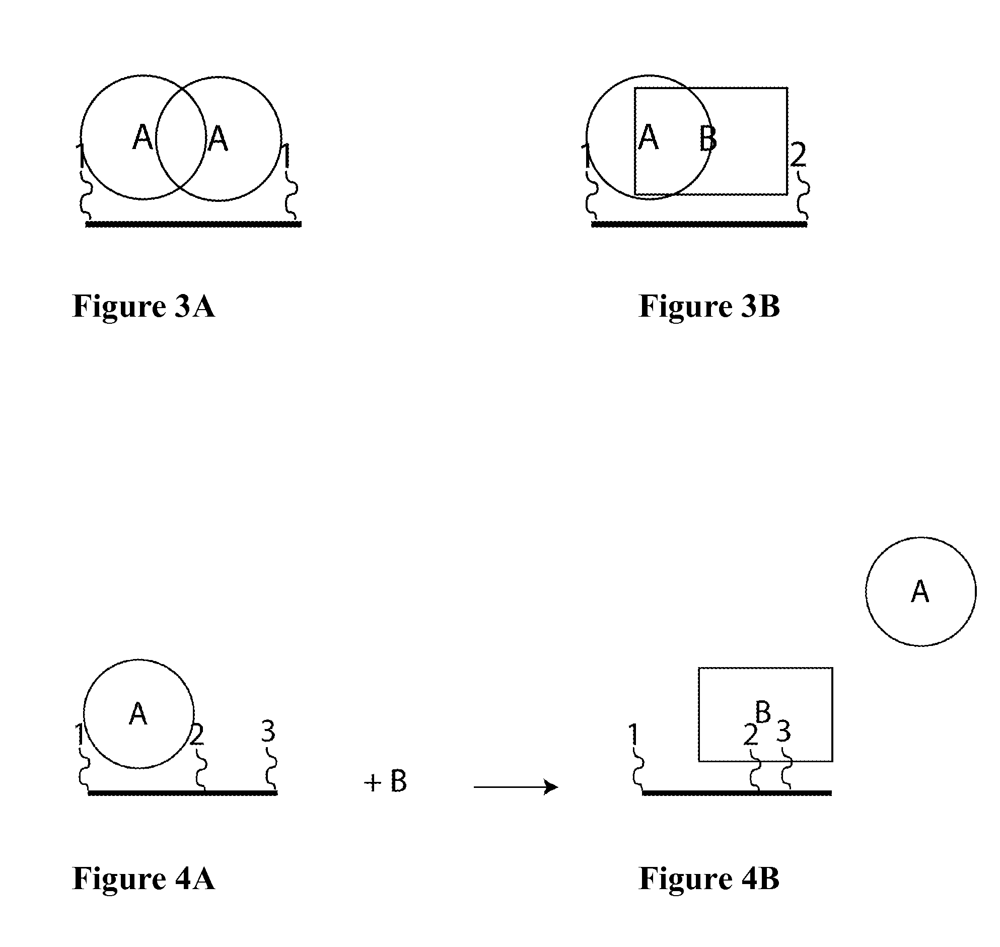 Synthetic antibodies