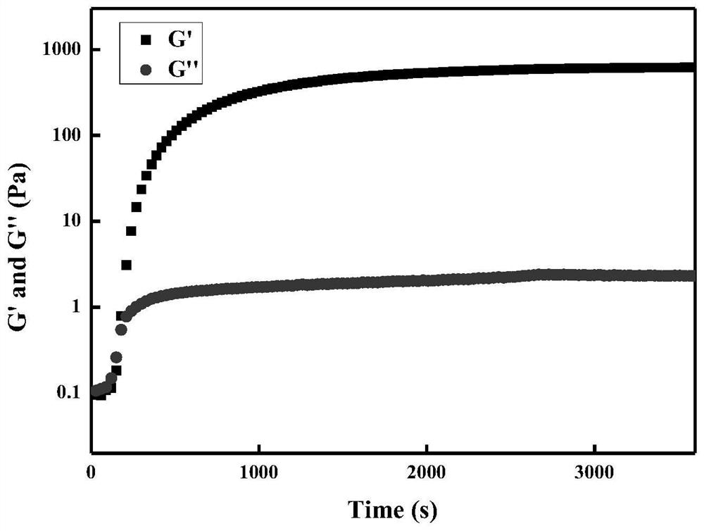 Albumin hydrogel as well as preparation method and application thereof