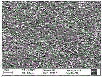 Single-steel multi-level hot-rolled complex-phase high-strength steel plate and production method thereof