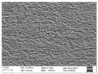 Single-steel multi-level hot-rolled complex-phase high-strength steel plate and production method thereof