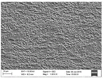 Single-steel multi-level hot-rolled complex-phase high-strength steel plate and production method thereof