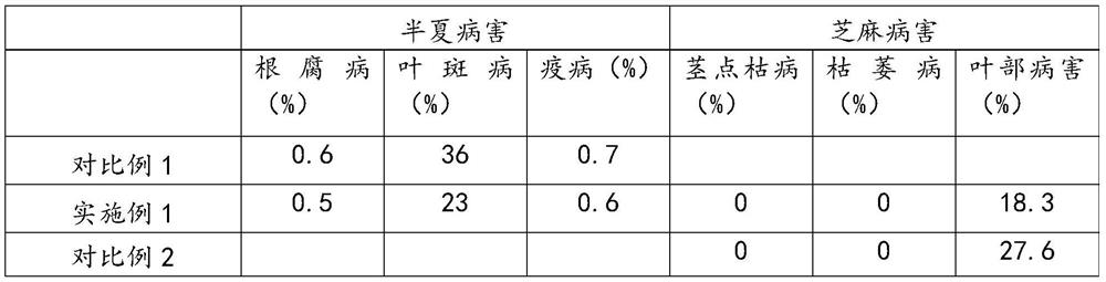 Intercropping and interplanting method for sesamum indicum and pinellia ternata