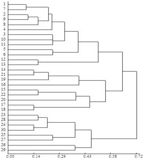 Chinese pumpkin transcriptome ssr molecular marker primers and their applications