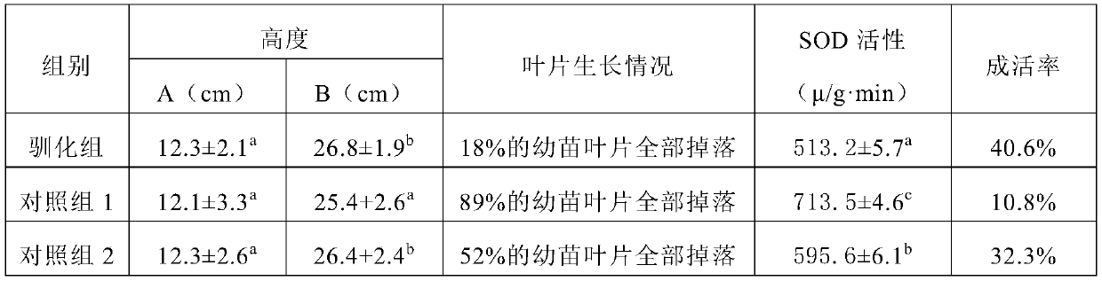 A kind of domestication method of mangrove plant moving northward