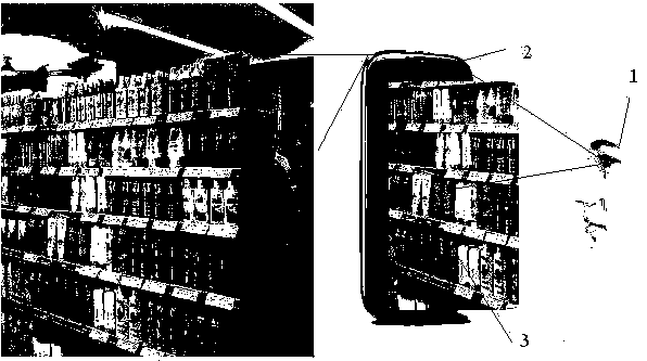 Commodity browse method and system based on eyeball tracking