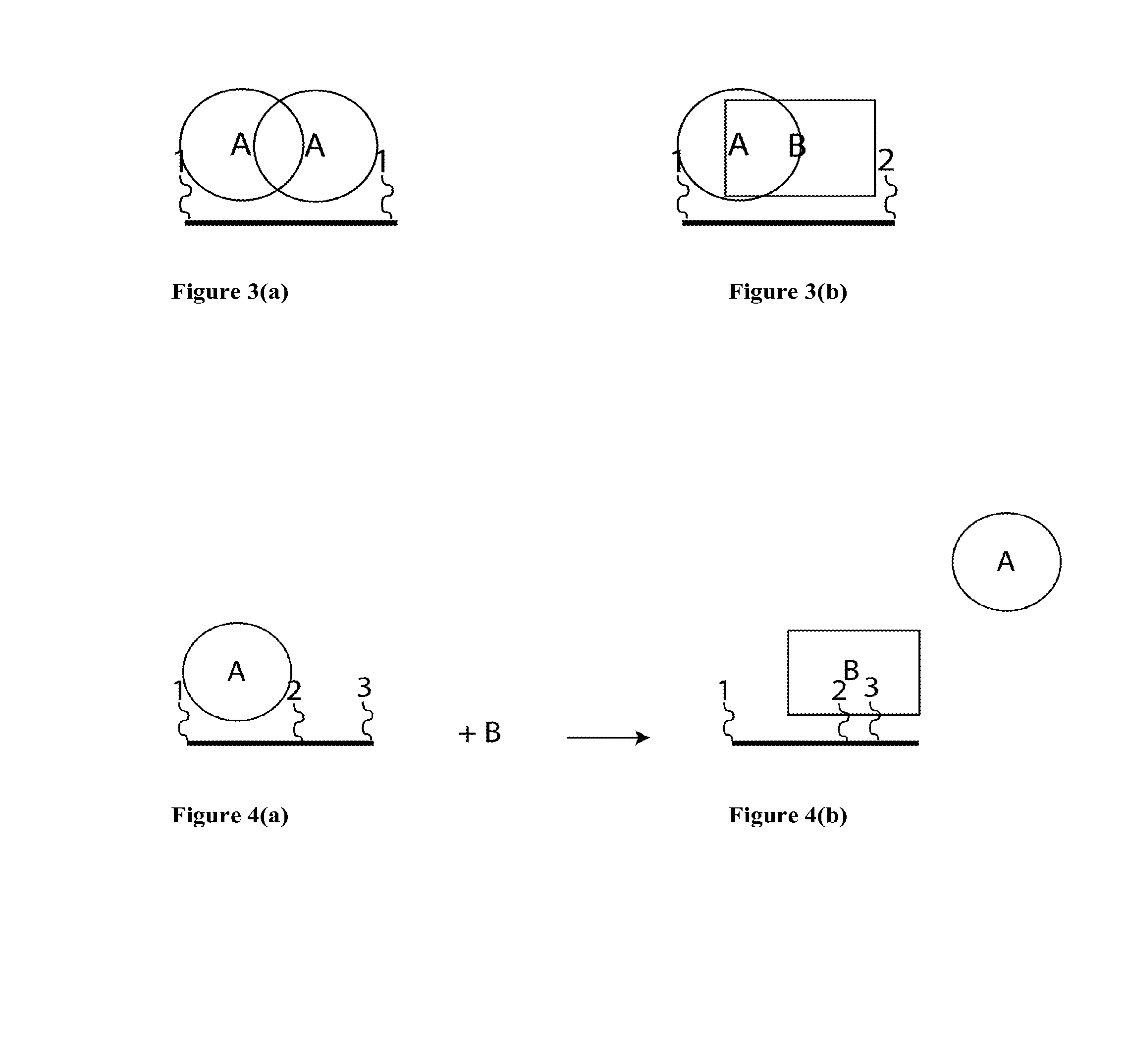 Synthetic Antibodies