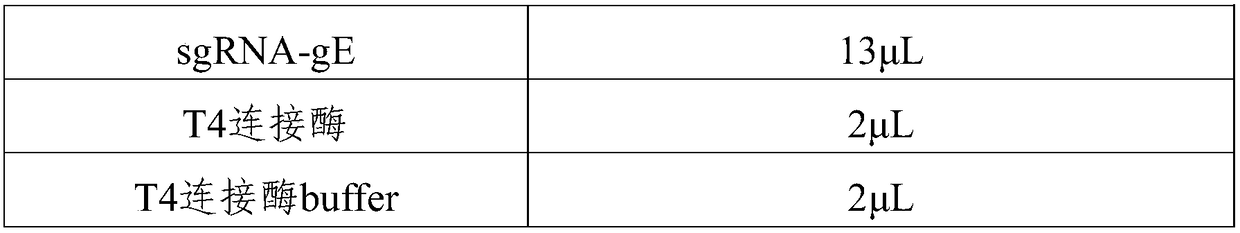 Method for using CRISPR/Cas9 for preparing recombinant pseudorabies virus