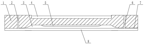 Microfluidic chip with preset magnetic beads, manufacturing method and microfluidic detection equipment