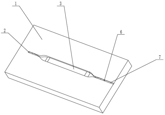 Microfluidic chip with preset magnetic beads, manufacturing method and microfluidic detection equipment