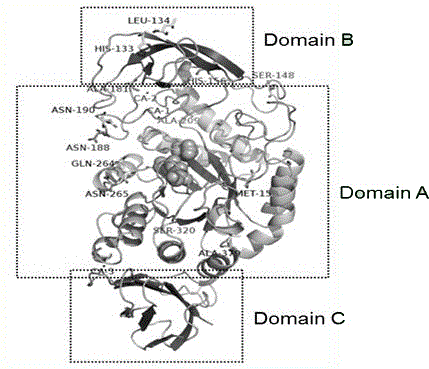 Acid and high temperature resistant alpha-amylase and genes and engineering bacteria of alpha-amylase and preparation method