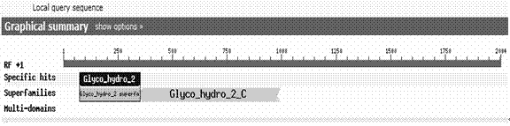 Galactosidase and polynucleotide encoding galactosidase