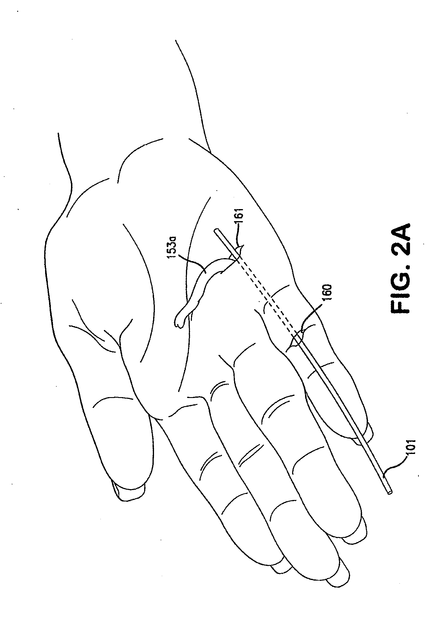 Method and apparatus for repairing a tendon or ligament