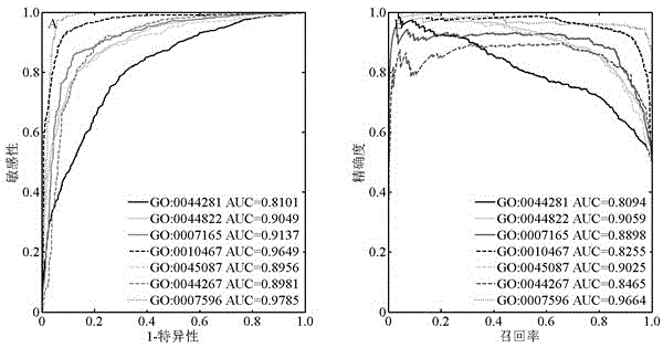 Method for identifying protein functions based on protein-protein interaction network and network topological structure features