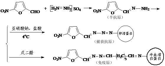 Immune nano gold test strip for quickly detecting four nitrofuran medicaments