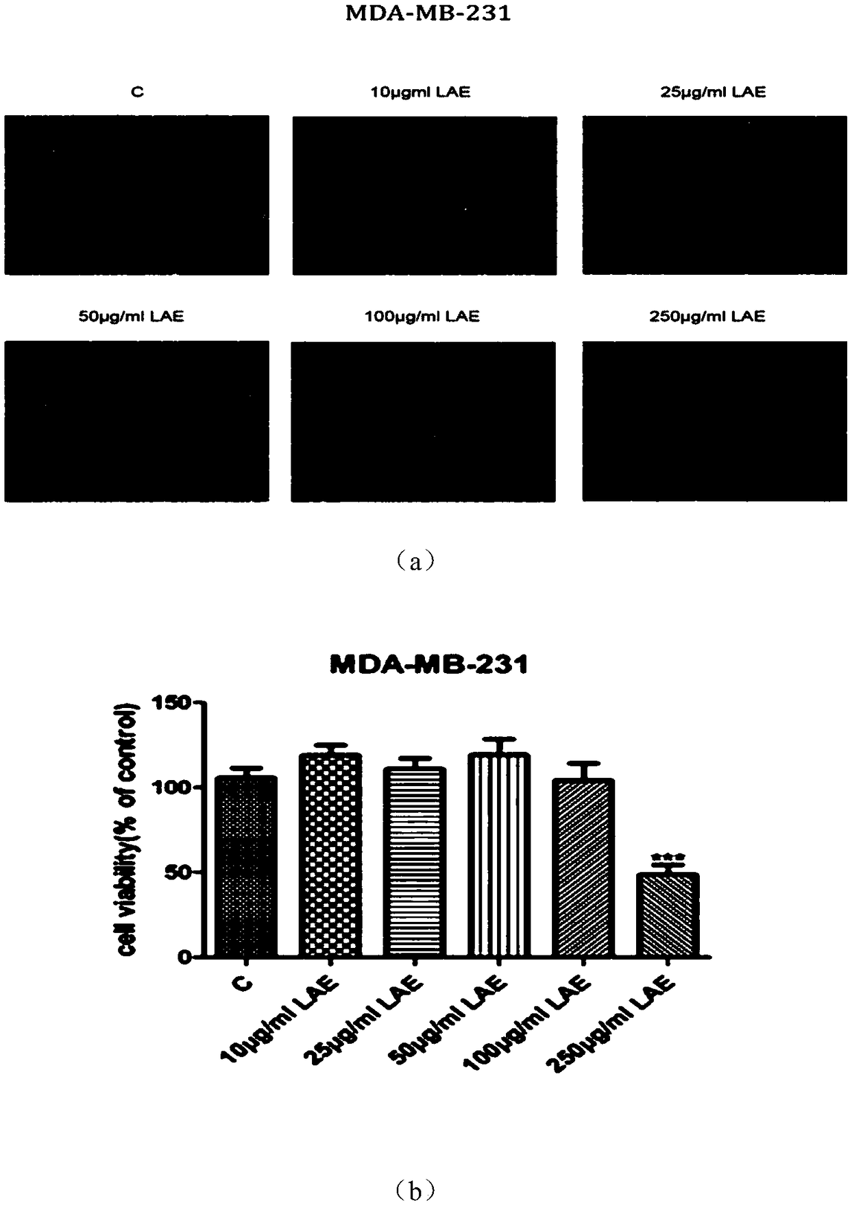 Application of lotus leaf alcohol extract in preparation of drug for inhibiting cancer metastasis