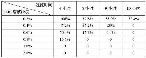 Method for efficiently producing jatropha M_2 seeds processed by EMS (methanesulfonic acid ethyl ester)