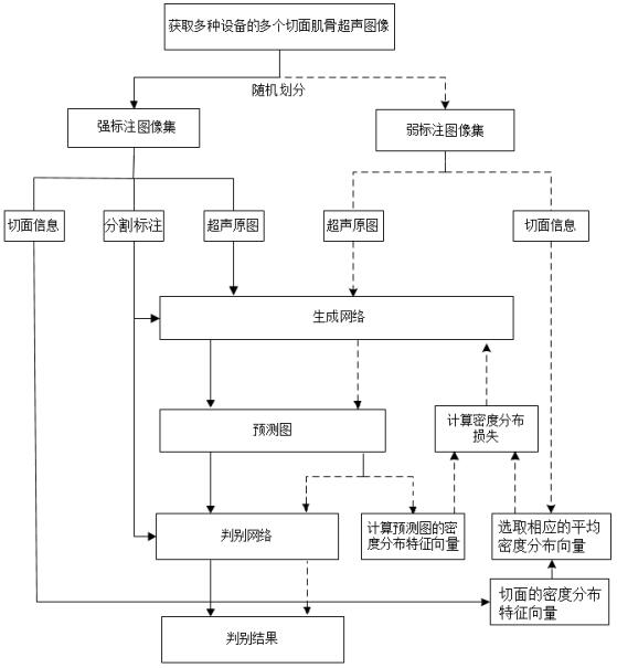 Shoulder muscle bone ultrasonic structure segmentation method based on semi-supervised semantic segmentation